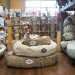 Augusta Pet Stores, Shelters, Dog Parks & More